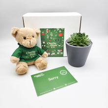 Load image into Gallery viewer, Teddy Bear &amp; Succulent Gift Box
