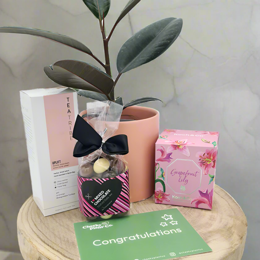 Congratulations Baby Plant Gift Hamper - Sydney Only
