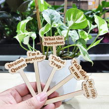 Load image into Gallery viewer, True Plant Parent  - Plant Lover Bundle
