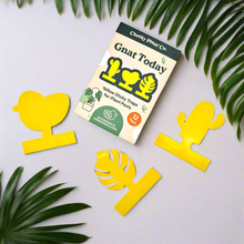 Load image into Gallery viewer, Gnat Today - Fungus Gnat Traps (Pack of 12) - Cheeky Plant Co.
