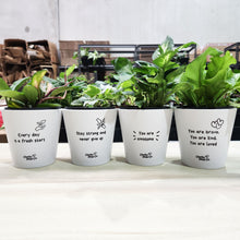 Load image into Gallery viewer, Fresh Start - Cheeky Plant Co. Positive Pot - 11cmD x 11cmH
