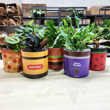 Load image into Gallery viewer, Pizza - Cheeky Plant Co. Pot -12.5cmD x 12cmH
