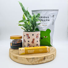 Load image into Gallery viewer, Dog Lovers - Pet Friendly Plant Gift Hamper - Sydney Only
