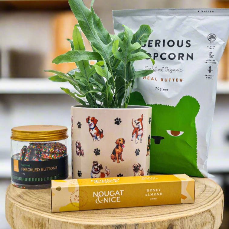 Dog Lovers - Pet Friendly Plant Gift Hamper - Sydney Only