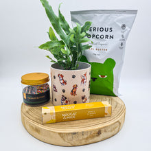 Load image into Gallery viewer, Dog Lovers - Pet Friendly Plant Gift Hamper - Sydney Only
