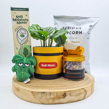 Load image into Gallery viewer, Soil Mate Birthday Plant Gift Hamper - Sydney Only
