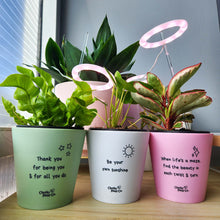 Load image into Gallery viewer, Trio Assorted Indoor Plants in Positive Pots (11cmDx11cmH) - Sydney Only
