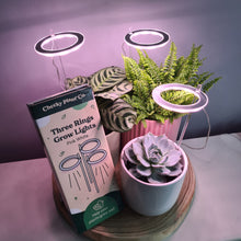 Load image into Gallery viewer, Three Rings Grow Lights - Pink White - Cheeky Plant Co.
