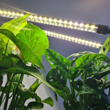 Load image into Gallery viewer, 2 Headed LED Indoor Plant Grow Lights - White - Cheeky Plant Co.
