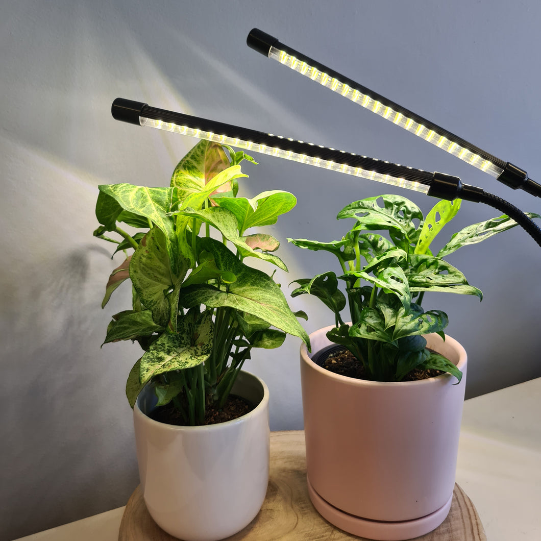 2 Headed LED Indoor Plant Grow Lights - White - Cheeky Plant Co.