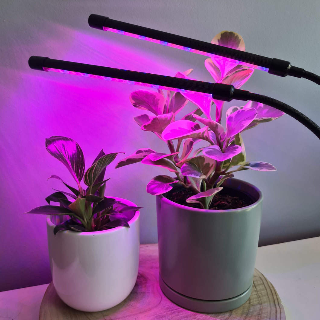 2 Headed LED Indoor Plant Grow Lights - Red/Blue - Cheeky Plant Co.