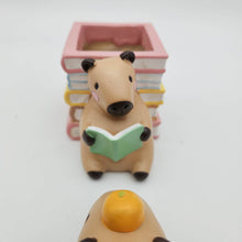 Load image into Gallery viewer, Capybara Four Pots Pack

