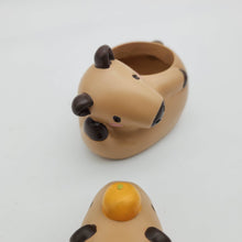 Load image into Gallery viewer, Capybara Four Pots Pack
