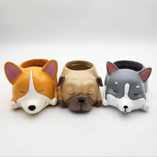 Load image into Gallery viewer, Cute Dogs Sleeping Trio Pots Pack
