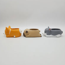 Load image into Gallery viewer, Cute Dogs Sleeping Trio Pots Pack
