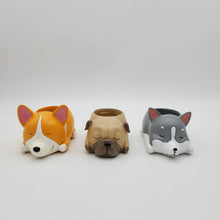 Load image into Gallery viewer, Cute Dogs Sleeping Trio Pots Pack
