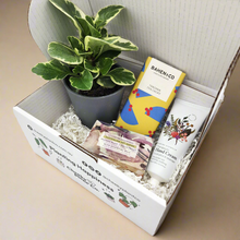 Load image into Gallery viewer, Pamper Plant Gift Box
