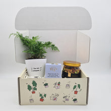 Load image into Gallery viewer, Positive Vibes - Plant Gift Box
