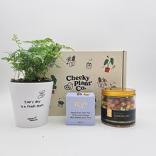 Load image into Gallery viewer, Positive Vibes - Plant Gift Box
