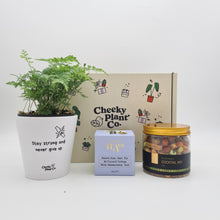 Load image into Gallery viewer, Positive Vibes - Plant Gift Box
