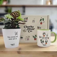 Load image into Gallery viewer, Positive Motivation - Plant Gift Box
