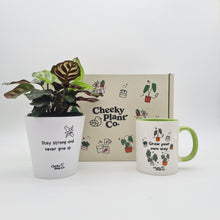 Load image into Gallery viewer, Positive Motivation - Plant Gift Box
