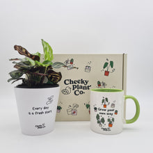 Load image into Gallery viewer, Positive Motivation - Plant Gift Box
