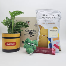 Load image into Gallery viewer, Soil Mate Plant Gift Box

