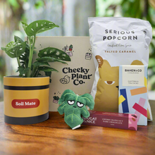 Load image into Gallery viewer, Soil Mate Plant Gift Box
