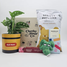Load image into Gallery viewer, Soil Mate Plant Gift Box
