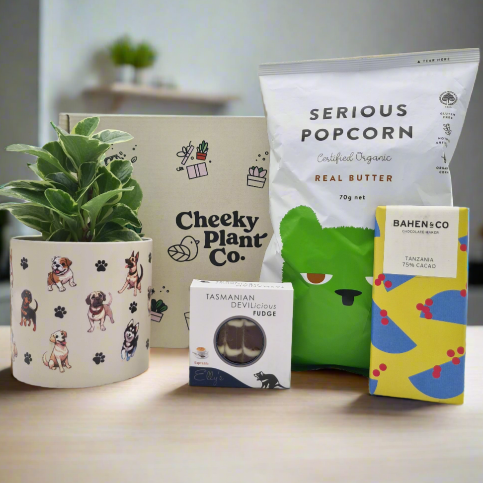 Dog Lovers Plant Gift Box