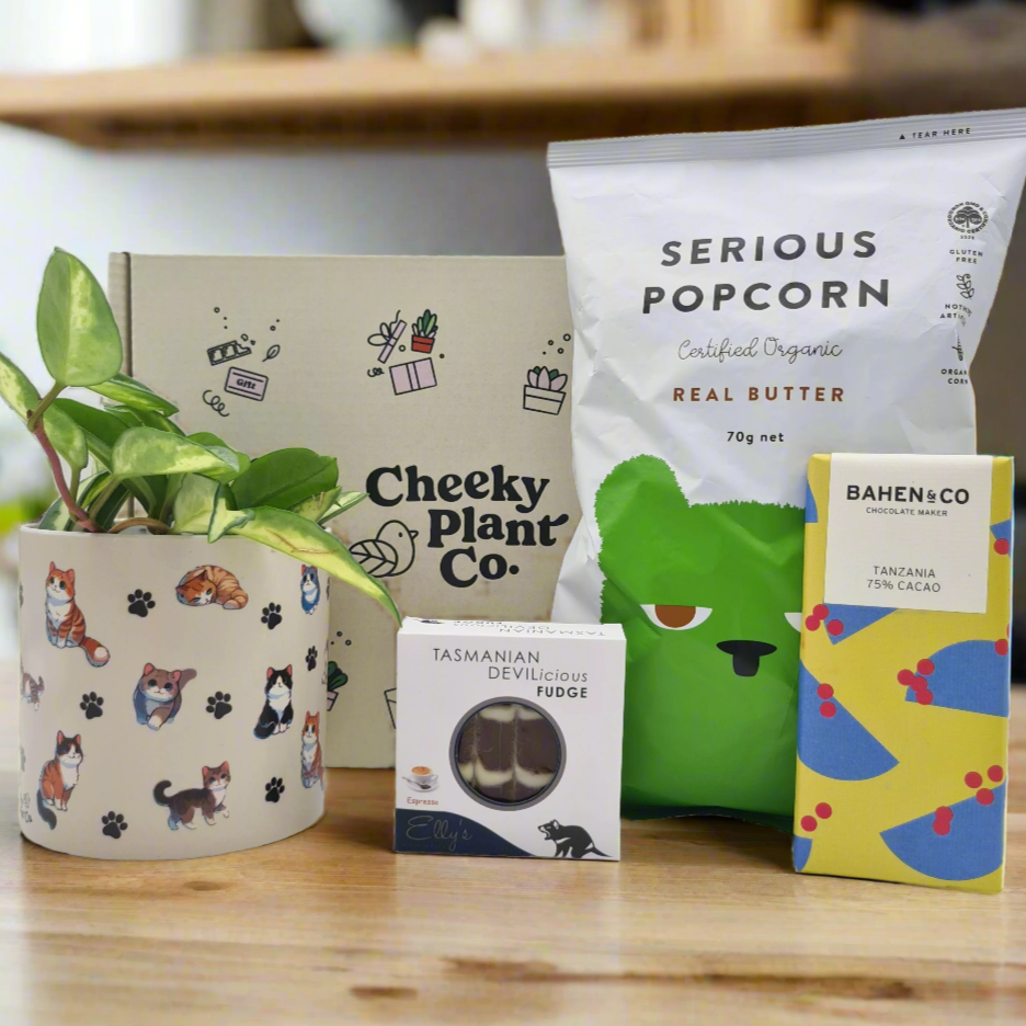 Cat Lovers Plant Gift Box