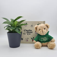 Load image into Gallery viewer, Teddy Bear &amp; Plant Gift Box
