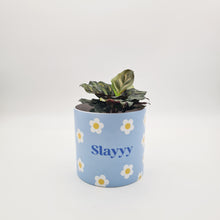 Load image into Gallery viewer, Slayyy - Cheeky Plant Co. Pot - 12.5cmD x 12cmH
