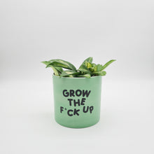 Load image into Gallery viewer, Grow the F*ck Up - Cheeky Plant Co. Pot - 12.5cmD x 12cmH
