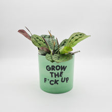 Load image into Gallery viewer, Grow the F*ck Up - Cheeky Plant Co. Pot - 12.5cmD x 12cmH
