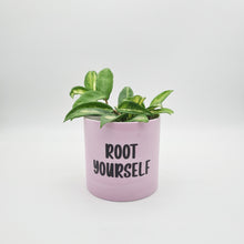 Load image into Gallery viewer, Root Yourself - Cheeky Plant Co. Pot - 12.5cmD x 12cmH
