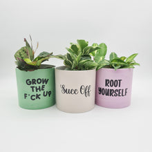 Load image into Gallery viewer, Trio Succ It Up Pots Pack - Cheeky Plant Co. Pots - 12.5cmD x 12cmH
