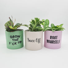 Load image into Gallery viewer, Trio Succ It Up Pots Pack - Cheeky Plant Co. Pots - 12.5cmD x 12cmH
