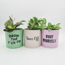 Load image into Gallery viewer, Trio Succ It Up Pots Pack - Cheeky Plant Co. Pots - 12.5cmD x 12cmH
