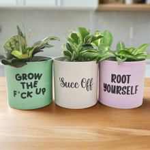 Load image into Gallery viewer, Trio Succ It Up Pots Pack - Cheeky Plant Co. Pots - 12.5cmD x 12cmH
