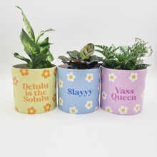 Load image into Gallery viewer, Trio Slay Queen Pots Pack - Cheeky Plant Co. Pots - 12.5cmD x 12cmH
