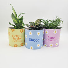 Load image into Gallery viewer, Trio Slay Queen Pots Pack - Cheeky Plant Co. Pots - 12.5cmD x 12cmH
