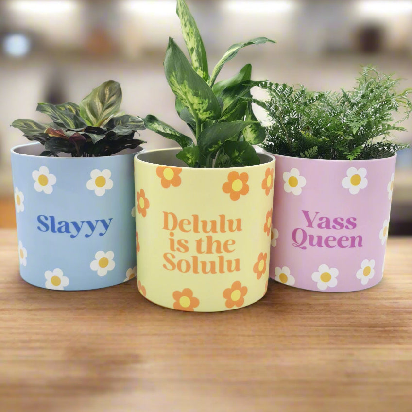 Trio Slay Queen Pots Pack - Cheeky Plant Co. Pots - 12.5cmD x 12cmH