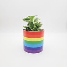 Load image into Gallery viewer, Rainbow - Cheeky Plant Co. Pot - 12.5cmD x 12cmH
