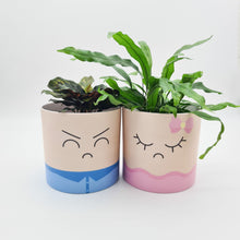 Load image into Gallery viewer, Face Swapping Pots Pack - Moody Lovers - Cheeky Plant Co. Pots - 12.5cmD x 12cmH
