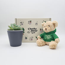 Load image into Gallery viewer, Teddy Bear &amp; Succulent Gift Box
