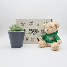 Load image into Gallery viewer, Teddy Bear &amp; Succulent Gift Box
