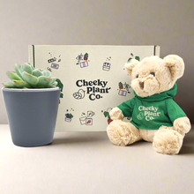 Load image into Gallery viewer, Teddy Bear &amp; Succulent Gift Box
