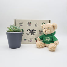 Load image into Gallery viewer, Teddy Bear &amp; Succulent Gift Box
